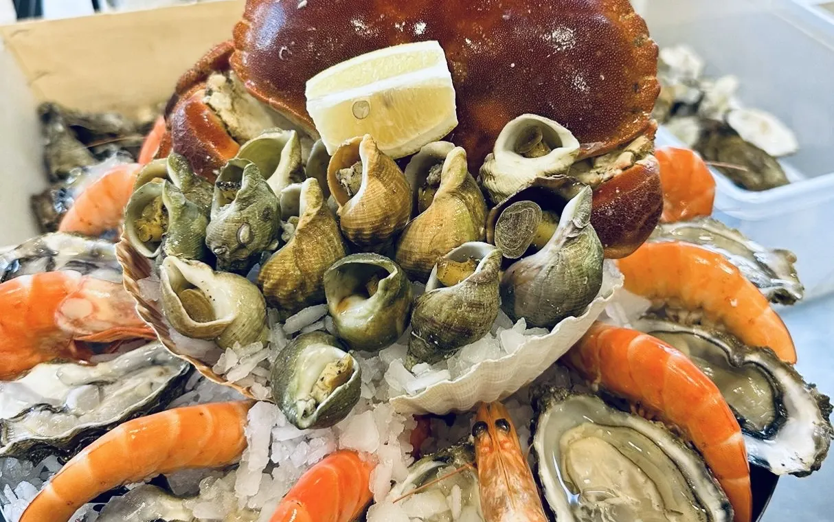 Plateau de fruits de mer : bulots, crevettes et huîtres